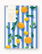 'Citrus' Workbook by Bespoke Letterpress. Australian Art Prints and Homewares. Green Door Decor. www.greendoordecor.com.au