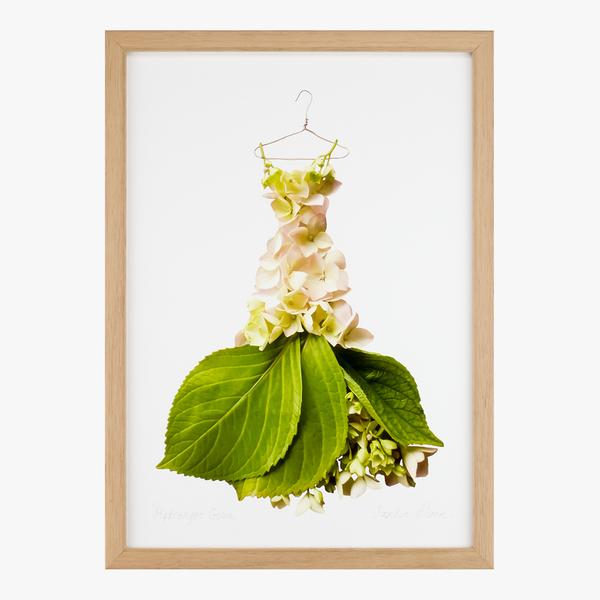 Cream Hydrangea Dress | Art Print by Petal & Pins. Australian Art Prints, Gifts, Fashion and Homewares. Green Door Decor. www.greendoordecor.com.au
