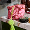 'Safia' Beauty Bag by Sage and Clare. Australian Art Prints and Homewares. Green Door Decor. www.greendoordecor.com.au