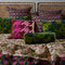 'Bernanda' Velvet Bolster Cushion | Peacock by Sage and Clare. Australian Art Prints and Homewares. Green Door Decor. www.greendoordecor.com.au