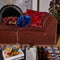 'Bernanda' Velvet Cushion | Lapis by Sage and Clare. Australian Art Prints and Homewares. Green Door Decor. www.greendoordecor.com.au