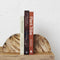 Acadia Petrified Wood Bookends by Inartisan. Australian Art Prints and Homewares. Green Door Decor. www.greendoordecor.com.au