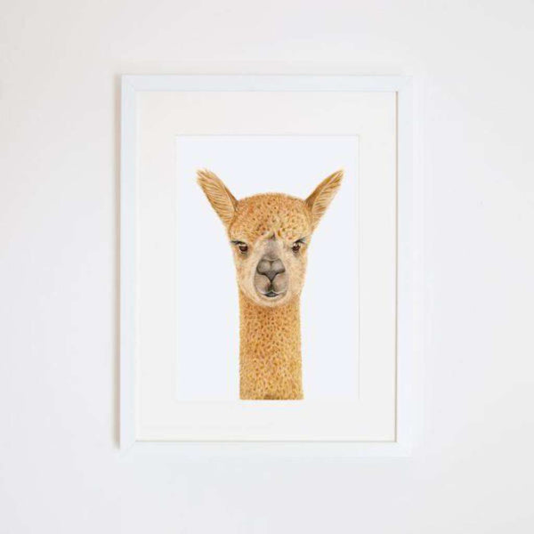 Alice the Alpaca Print by For Me By Dee. Australian Art Prints and Homewares. Green Door Decor. www.greendoordecor.com.au