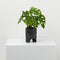 Archie Pot - Black Terrazzo - Small by Capra Designs. Australian Art Prints and Homewares. Green Door Decor. www.greendoordecor.com.au