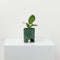 Archie Pot - Emerald Terrazzo - Small by Capra Designs. Australian Art Prints and Homewares. Green Door Decor. www.greendoordecor.com.au