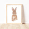 Baby Rabbit Print by Cassie Zaccardo. Australian Art Prints and Homewares. Green Door Decor. www.greendoordecor.com.au