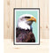 Bald Eagle 2, by Design Mondo. Australian Art Prints. Green Door Decor. www.greendoordecor.com.au