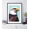 Bald Eagle, by Design Mondo. Australian Art Prints. Green Door Decor. www.greendoordecor.com.au