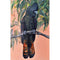 Black Cockatoo - Flora & Fauna Series by Bexart, Australian Art Prints. Green Door Decor.  www.greendoordecor.com.au