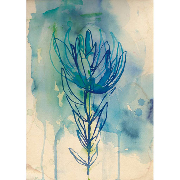 Blue Wash Protea - unframed - by Paula Mills Art. Australian Art Prints. Green Door Decor. www.greendoordecor.com.au