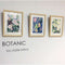 Botanic 1 triple prints, by Claire Ishino. Australian Art Prints. Green Door Decor.  www.greendoordecor.com.au