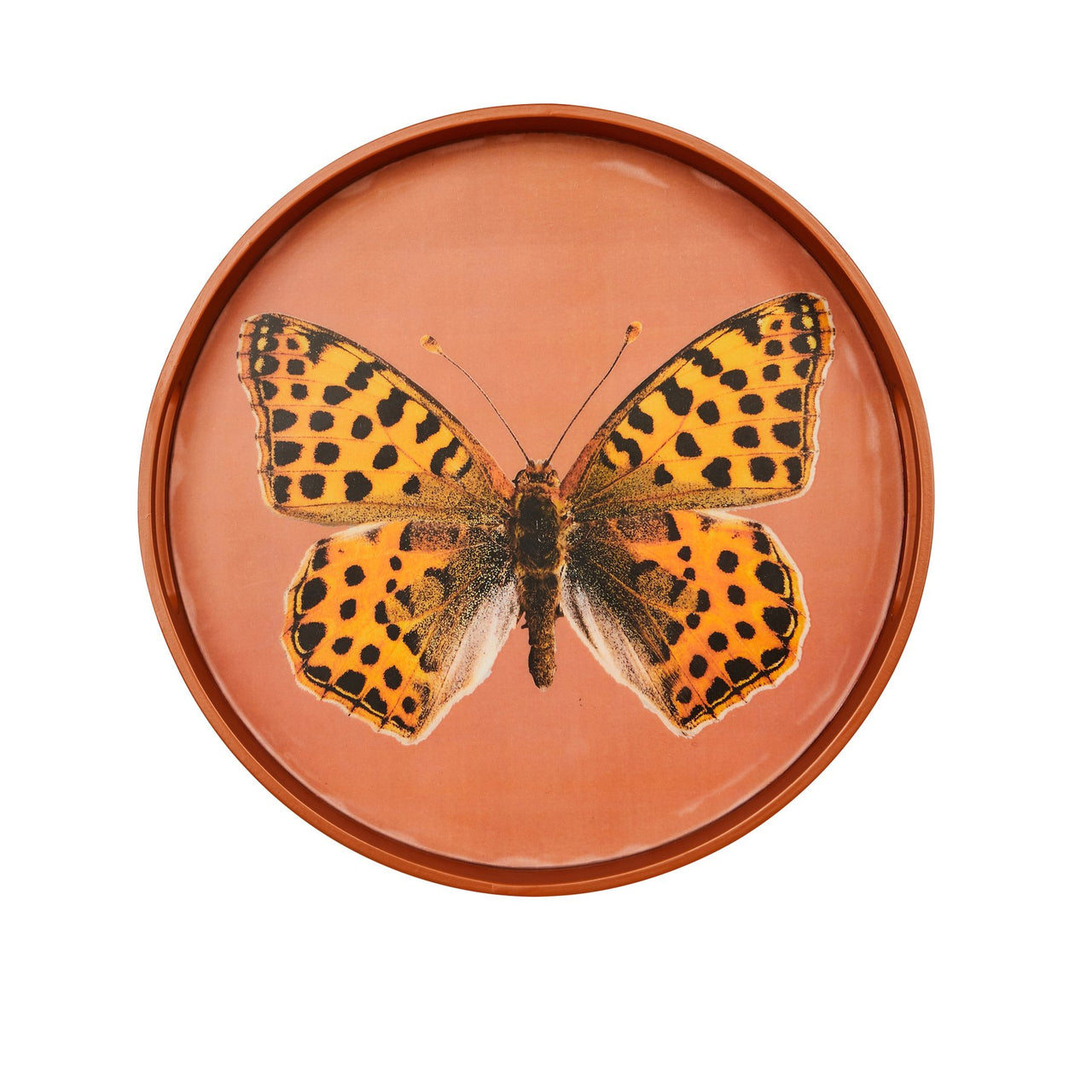 Butterfly Rust Tray by Bonnie and Neil. Australian Art Prints and Homewares. Green Door Decor. www.greendoordecor.com.au