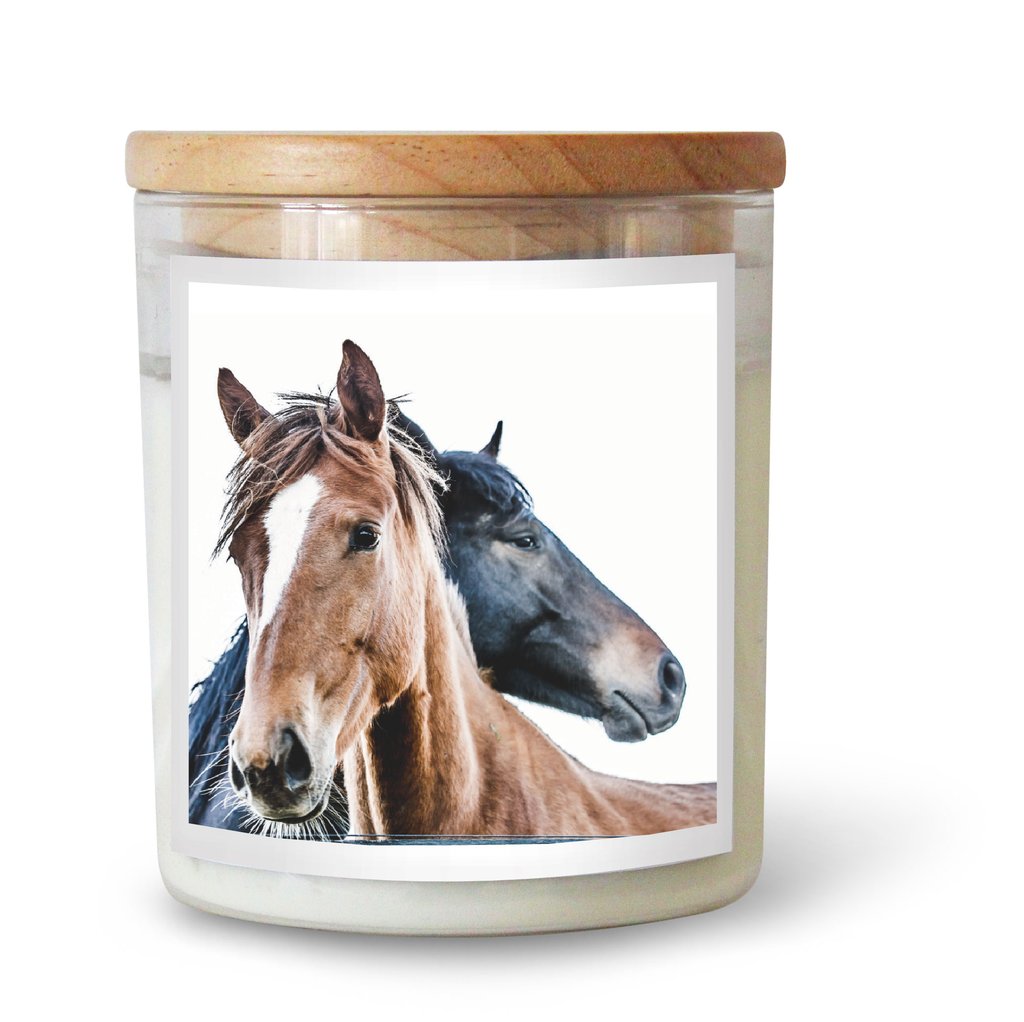 Harry the Horse Candle by The Commonfolk Collective. Australian Art Prints and Homewares. Green Door Decor. www.greendoordecor.com.au