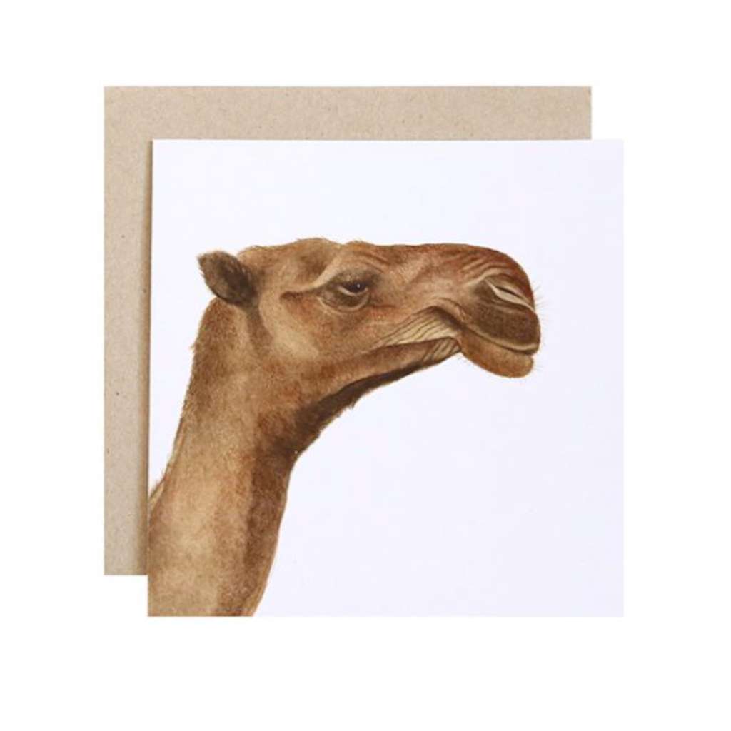 Clarence the Camel Card by For Me By Dee. Australian Art Prints and Homewares. Green Door Decor. www.greendoordecor.com.au