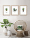'Cosy House Plants - Set of 3' Prints by Cassie Zaccardo. Australian Art Prints and Homewares. Green Door Decor. www.greendoordecor.com.au