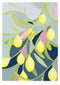 Desert Lime limited edition print by Claire Ishino. Australian Art Prints and Homewares. Green Door Decor. www.greendoordecor.com.au