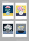 The Gentle One - Flora Series of prints by Claire Ishino. Australian Art Prints. Green Door Decor. www.greendoordecor.com.au