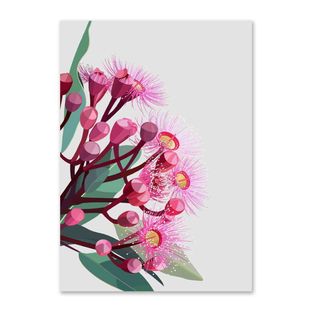 Flowering Gum on Grey Background (Limited Edition)