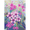 Geraldton Wax Flower, by Claire Ishino. Australian Art Prints. Green Door Decor.  www.greendoordecor.com.au