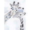 Giraffe Love Print 1, by My Hidden Forest. Australian Art Prints. Green Door Decor. www.greendoordecor.com.au