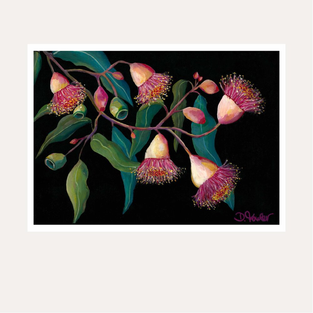 Glorious Gum Blossoms Fine Art Print - unframed - by Daniela Fowler Art. Australian Art Prints. Green Door Decor. www.greendoordecor.com.au
