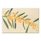 Golden Wattle, Native Glory by Kim Haines. Australian Art Prints. Green Door Decor.  www.greendoordecor.com.au