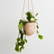 Hanging Pot | Salt Terrazzo - Small by Capra Designs. Australian Art Prints and Homewares. Green Door Decor. www.greendoordecor.com.au