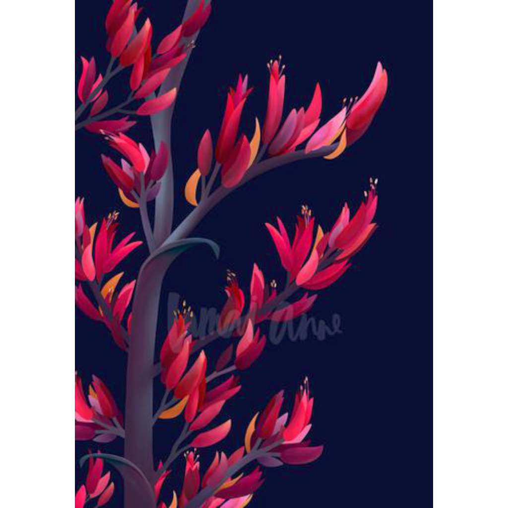Harakeke New Zealand Flowering Flax (Limited Edition)