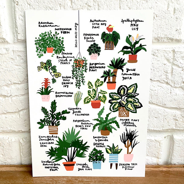 Hello Plant Lover Guide III print, by Hello Miss May. Australian Art Prints. Green Door Decor. www.greendoordecor.com.au