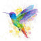 Hummingbird Print by Earthdrawn Studio. Australian Art Prints and Homewares. Green Door Decor. www.greendoordecor.com.au