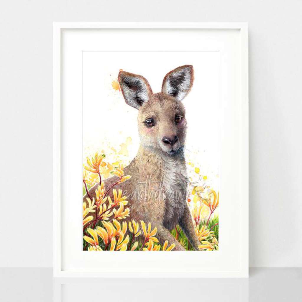 Kangaroo Joey and Kangaroo Paw Flower by Earthdrawn Studio. Australian Art Prints and Homewares. Green Door Decor. www.greendoordecor.com.au