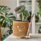 Katta Planter by Balshe Designs. Australian Art Prints and Homewares. Green Door Decor. www.greendoordecor.com.au