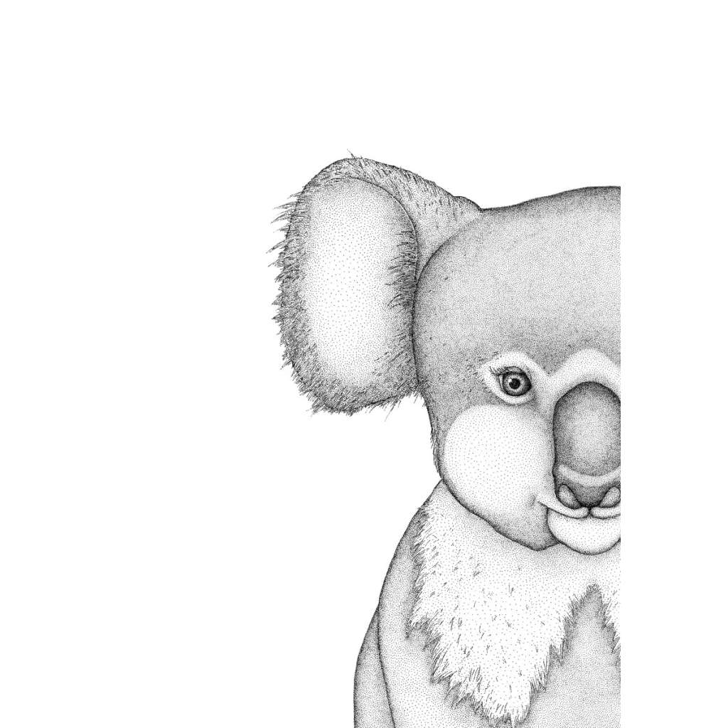 Kerry the Koala (Limited Edition)