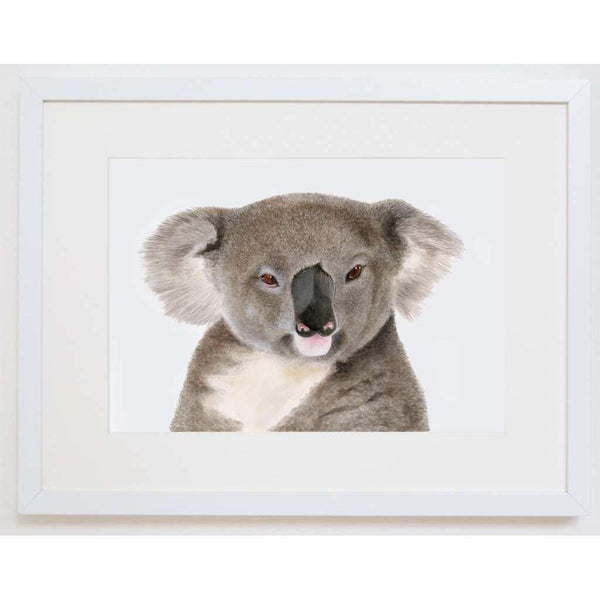 Kev the Koala