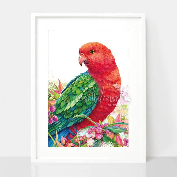 King Parrot and Lilly Pilly print by Earthdrawn Studio. Australian Art Prints and Homewares. Green Door Decor. www.greendoordecor.com.au