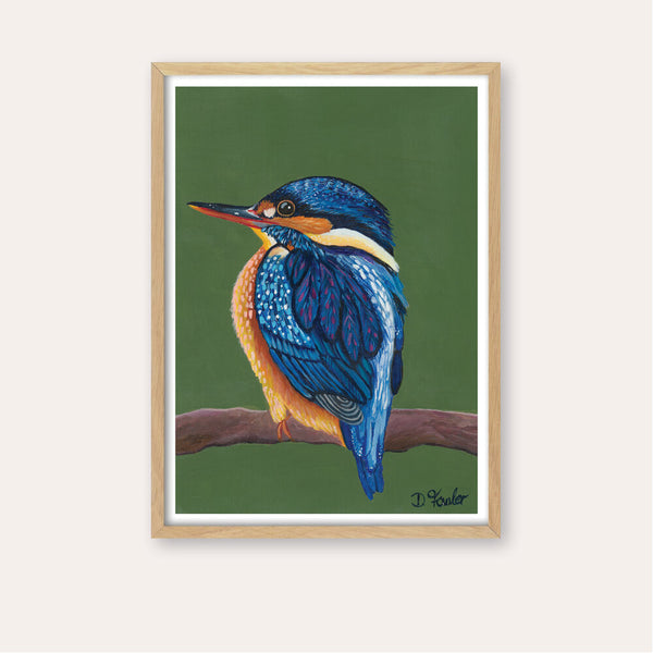 Kingy Kingfisher Fine Art Print - framed - by Daniela Fowler Art. Australian Art Prints. Green Door Decor. www.greendoordecor.com.au