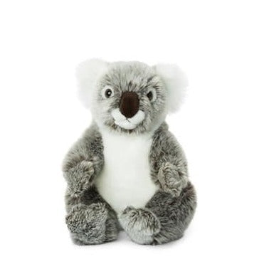 'Koala' Plush Toy | WWF. Australian Art Prints and Homewares. Green Door Decor. www.greendoordecor.com.au