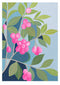 Lilly Pilly limited edition print by Claire Ishino. Australian Art Prints and Homewares. Green Door Decor. www.greendoordecor.com.au
