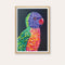 Lionel the Rainbow Lorikeet Print - framed - by Daniela Fowler Art. Australian Art Prints. Green Door Decor. www.greendoordecor.com.au