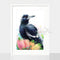 Magpie and Bottlebrush print, by Earthdrawn Studio. Australian Art Prints. Green Door Decor. www.greendoordecor.com.au