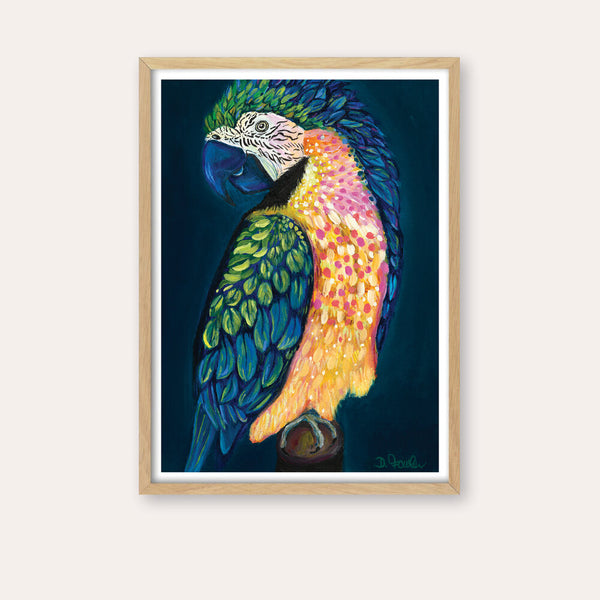 Maverick the Macaw Print - framed - by Daniela Fowler Art. Australian Art Prints. Green Door Decor. www.greendoordecor.com.au