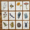 Your Wild Memory Card Game by Brooke Davis. Australian Art Prints and Homewares. Green Door Decor. www.greendoordecor.com.au