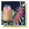 Mini Greeting Card | Lovely Grevillea by La La Land. Australian Art Prints and Homewares. Green Door Decor. www.greendoordecor.com.au