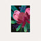 Native Bouquet Print - unframed - by Daniela Fowler Art. Australian Art Prints. Green Door Decor. www.greendoordecor.com.au