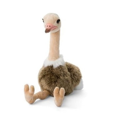 'Ostrich' Plush Toy | WWF. Australian Art Prints and Homewares. Green Door Decor. www.greendoordecor.com.au