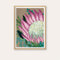 Pastel Protea on Linen Print - framed - by Daniela Fowler Art. Australian Art Prints. Green Door Decor. www.greendoordecor.com.au