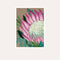 Pastel Protea on Linen Print - unframed - by Daniela Fowler Art. Australian Art Prints. Green Door Decor. www.greendoordecor.com.au