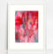 Pink & Red Botanical Patterns Print - framed - by Paula Mills Art. Australian Art Prints. Green Door Decor. www.greendoordecor.com.au