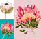 Protea Party (Pink) & Turquoise & First Love prints, by Grotti Lotti. Australian Art Prints. Green Door Decor. www.greendoordecor.com.au
