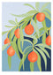 Quandong limited edition print by Claire Ishino. Australian Art Prints and Homewares. Green Door Decor. www.greendoordecor.com.au